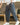 Cancun Cotton Pantalon - Old Money