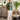 Old Money Linen Combo (Longsleeve) - Old Money
